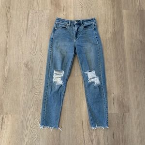 American Eagle Mom Jeans